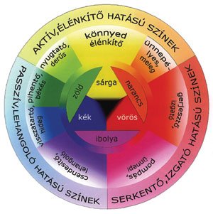 network.hu